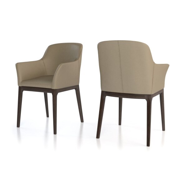 Ann Arm Chair